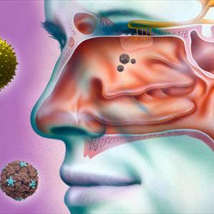 Symptoms Of Sinus Headache 